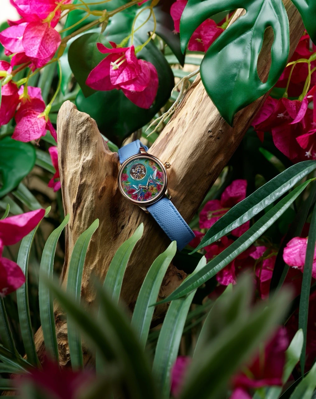 Jaquet Droz / Petite Heure Minute Red Gold – Hummingbird