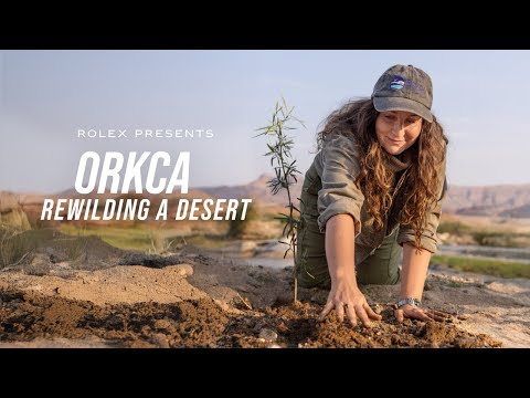Rolex presents: ORKCA – Rewilding a Desert