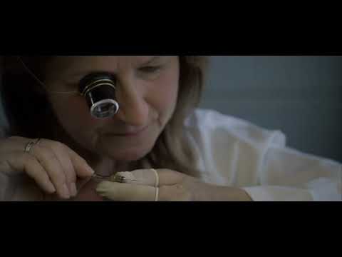 Moritz Grossmann image film 2026
