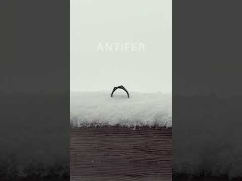 Antifer in the snow