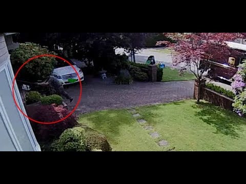 UPS Threw My Package up the Stairs - 5 steps too Much to walk?