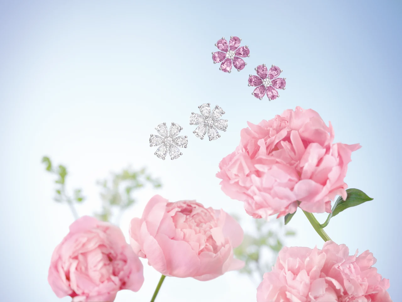 Harry Winston Forget Me Not earrings in ruby and diamond