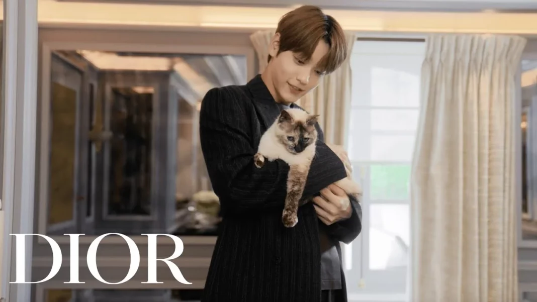 Dior Men Summer 2025 Show Highlights and Insights