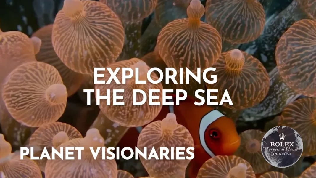 Exploring Deep-Ocean Discovery with Sheena Talma and Katy Croff Bell