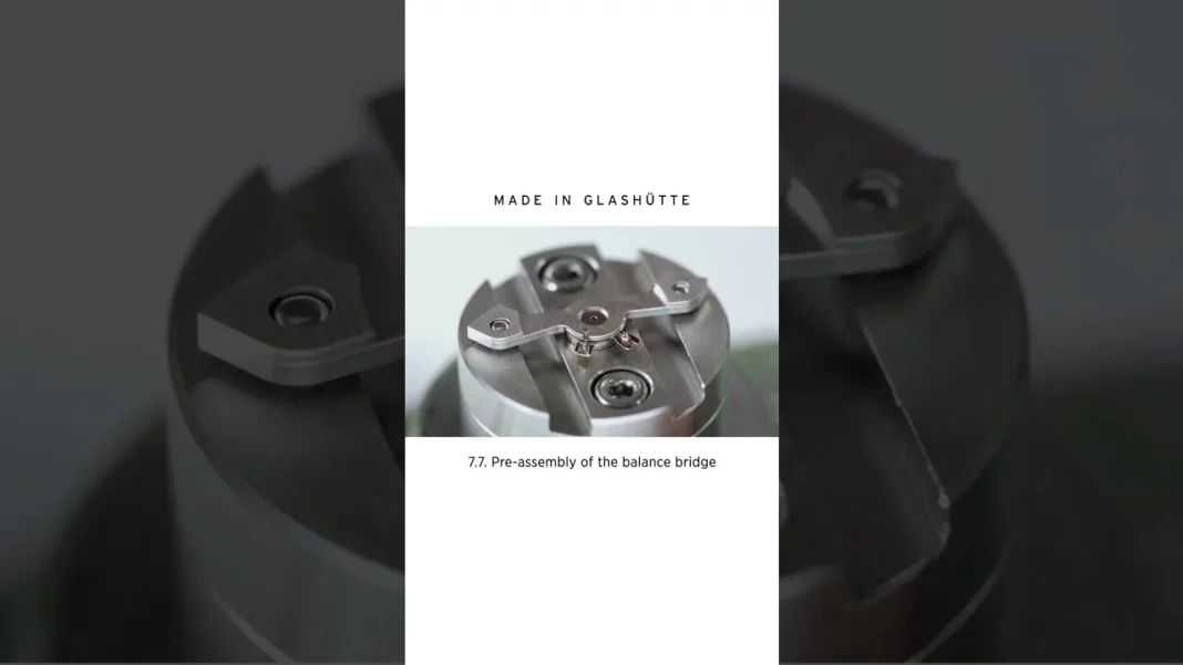 Exploring the Precision of the NOMOS GLASHÜTTE Watch’s Balance Bridge