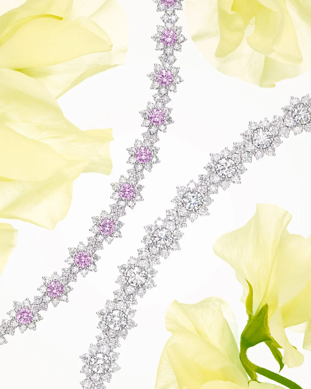 Harry Winston Sunflower Diamond collection pieces showing eight-petal halo architecture in white gold
