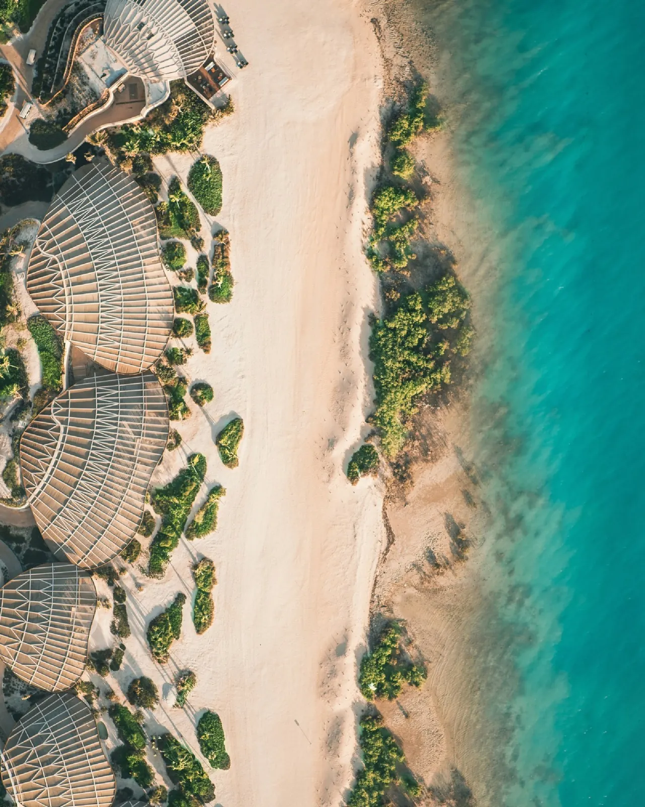 Sustainable architecture and natural material palette at a LEED Platinum-certified resort on Shura Island, Red Sea Global