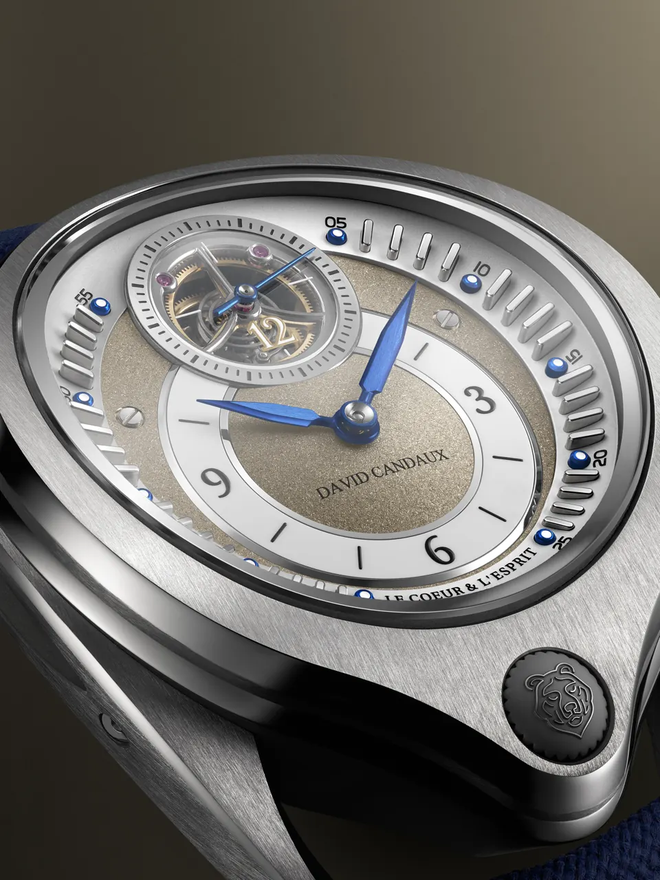 DC6 Night Forest dial detail showing hand-finishing and tourbillon cage