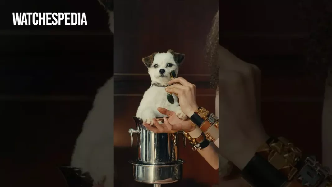 HERMÈS - Loosen up 🐶