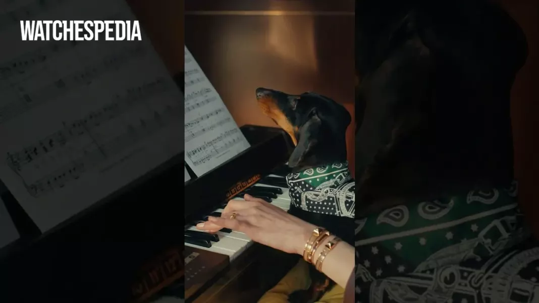 HERMÈS - Music, maestro 🎵 🐕