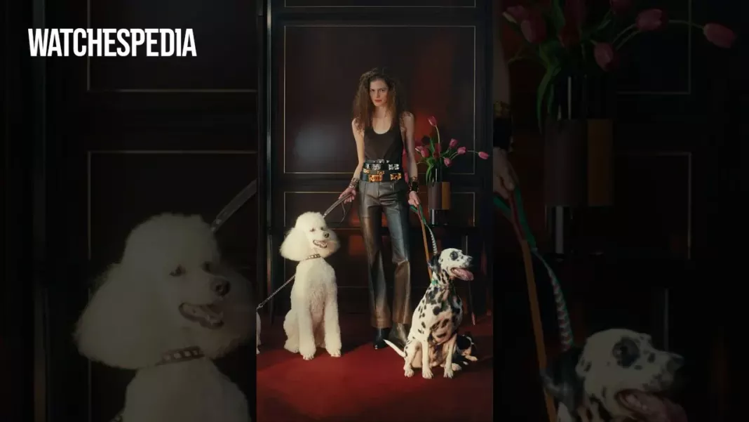 HERMÈS - Partner in charm 🐩