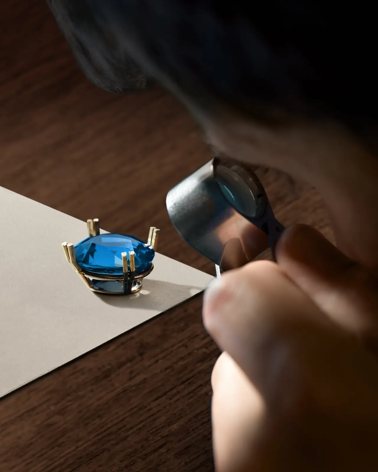 Tiffany Legendary Bird 2026 Sapphire Edition brooch showing full composition with 18-karat gold and platinum setting