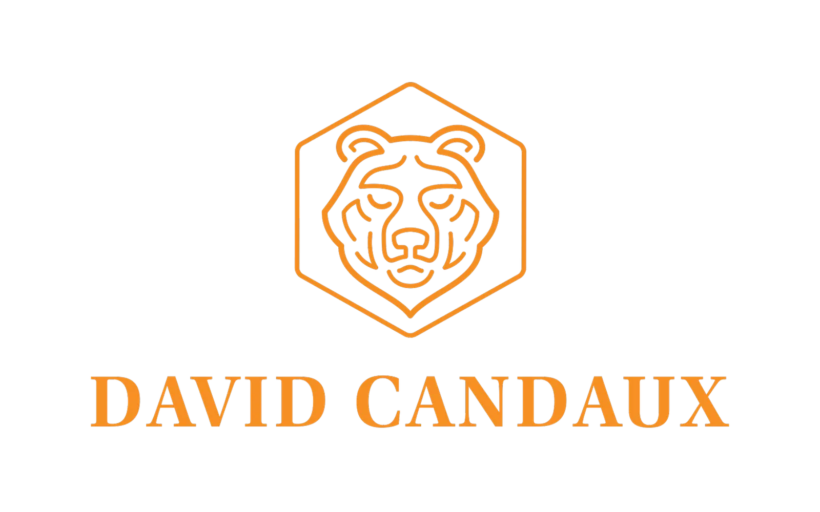 DAVID CANDAUX logo