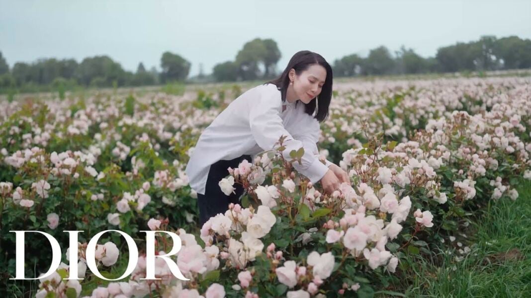 Dior Timepieces Inspired by Granville Garden Craftsmanship