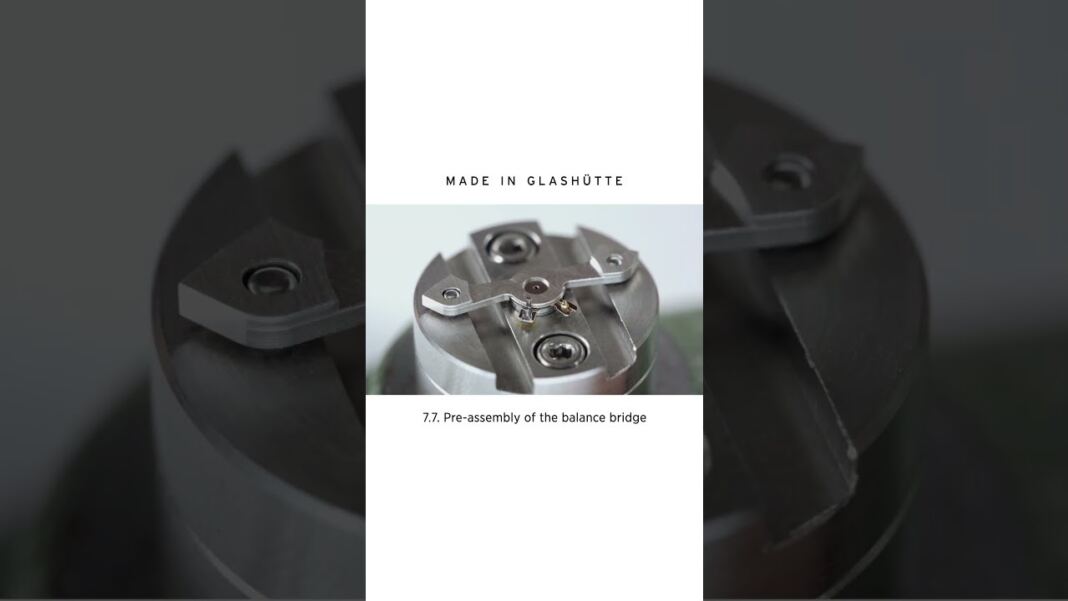 Exploring the Precision of the NOMOS GLASHÜTTE Watch's Balance Bridge