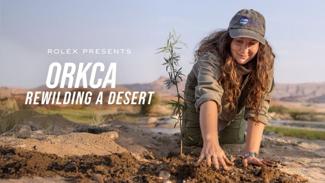 Rolex ORKCA Conservation Initiative Rewilding The Namib Desert