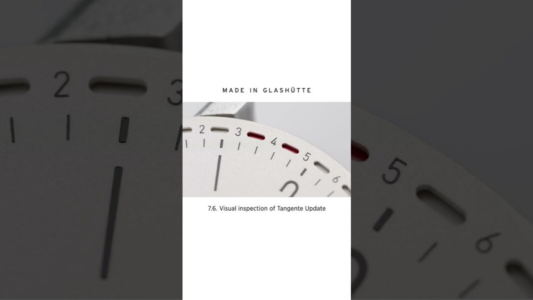 The Art of Precision: Visual Inspections in Watch Assembly