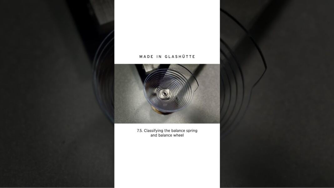 Understanding the Precision of a Mechanical Watch Balance
