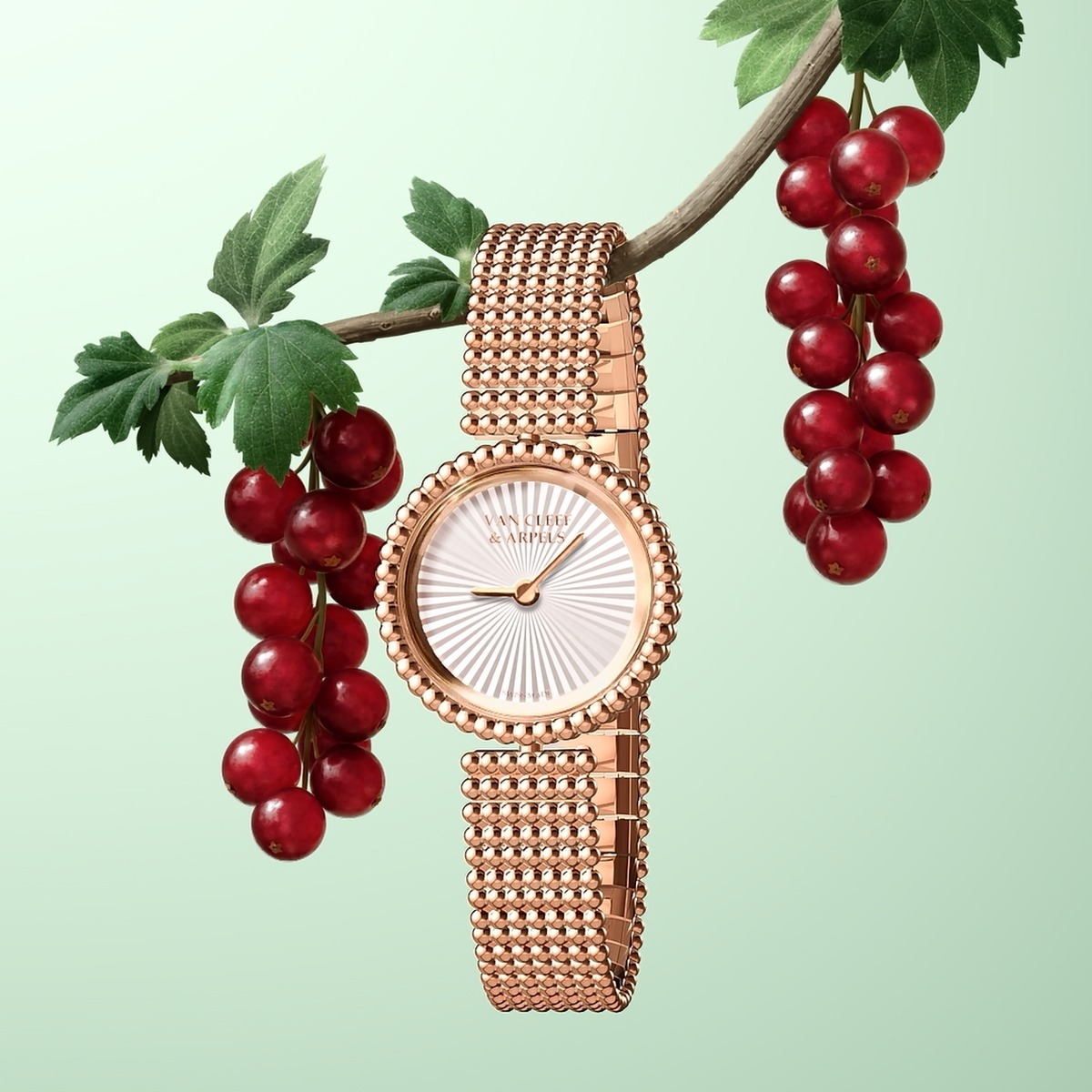 Van Cleef & Arpels watch Van Cleef & Arpels bracelet watch on a redcurrant branch