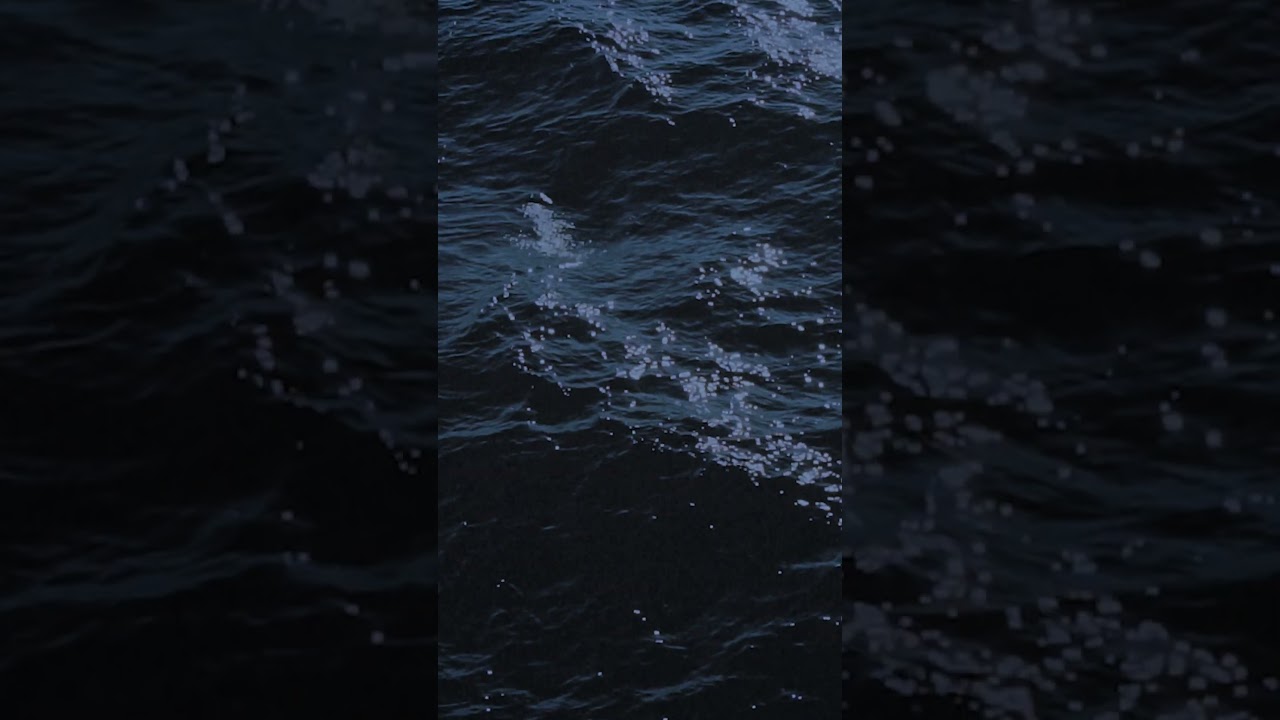 youtube placeholder image