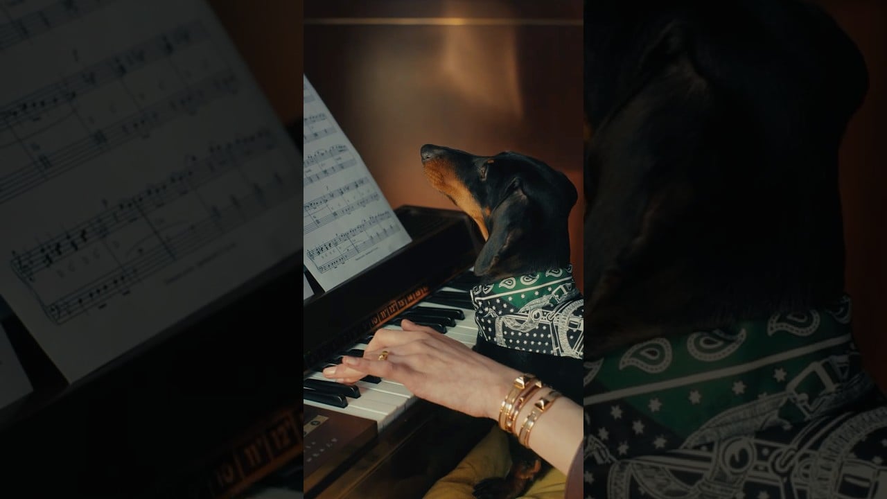 youtube placeholder image