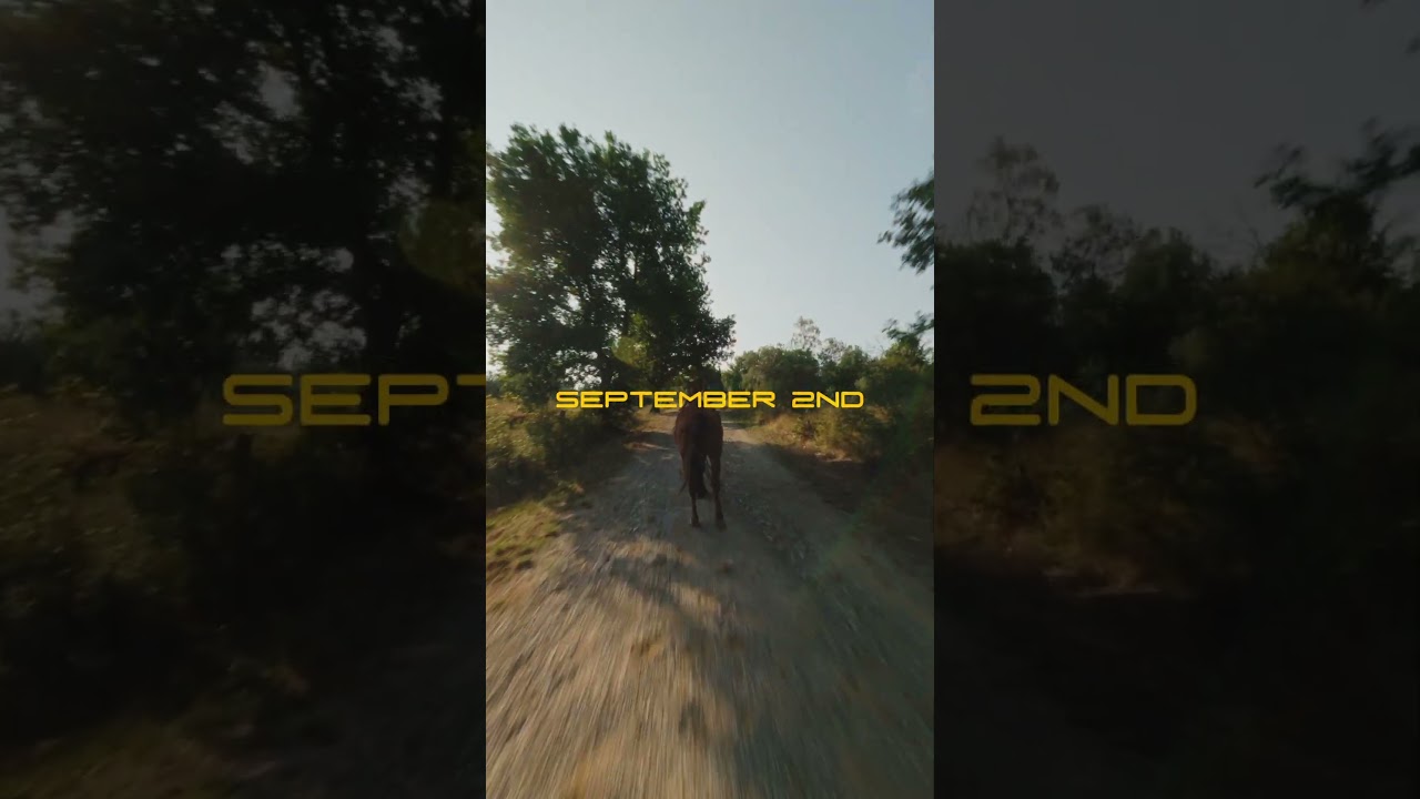 youtube placeholder image